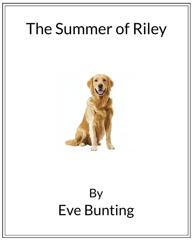 Cover image for Summer of Riley